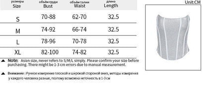 Women's Tubular Corset Tube Top Shiny Slimming Bandage Back Clothing Alamode